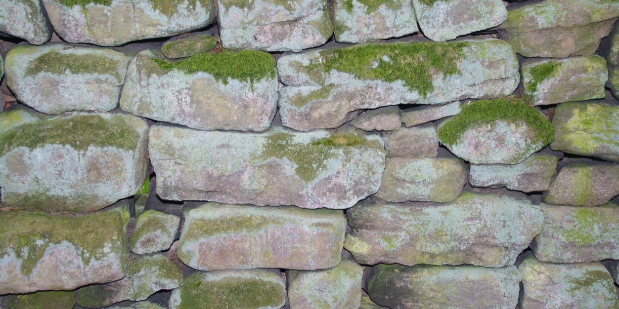 GrigorandYoung's profile banner image
