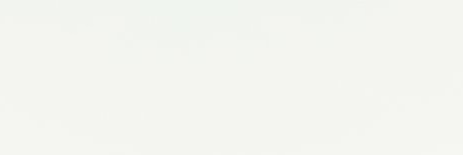 ____ banner