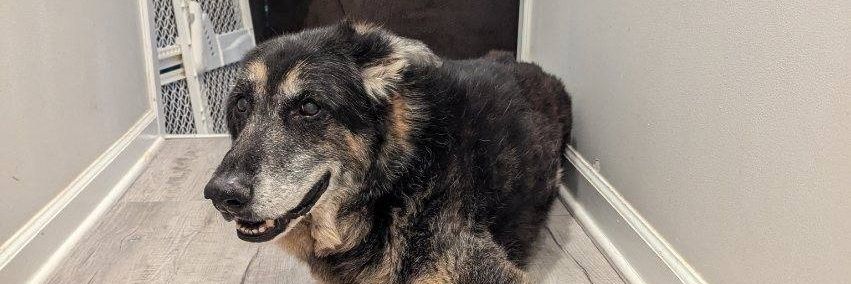 Jonathan Campbell banner