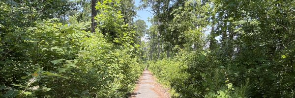 M1CR0NAN0 Profile Banner