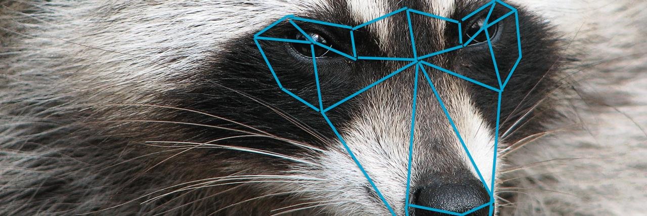 Flynn 🔜 a vast yawning abyss banner