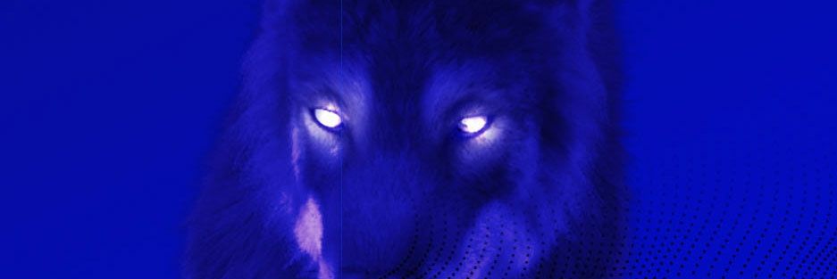 HFadl banner