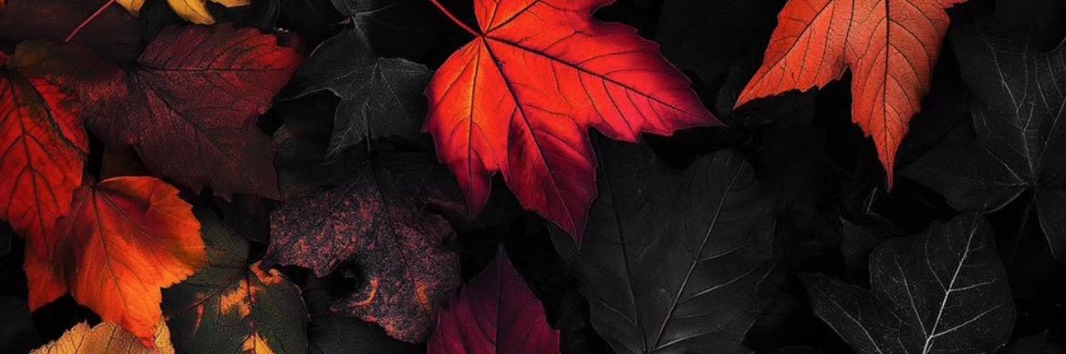 LOVEAPXRNO's profile banner image