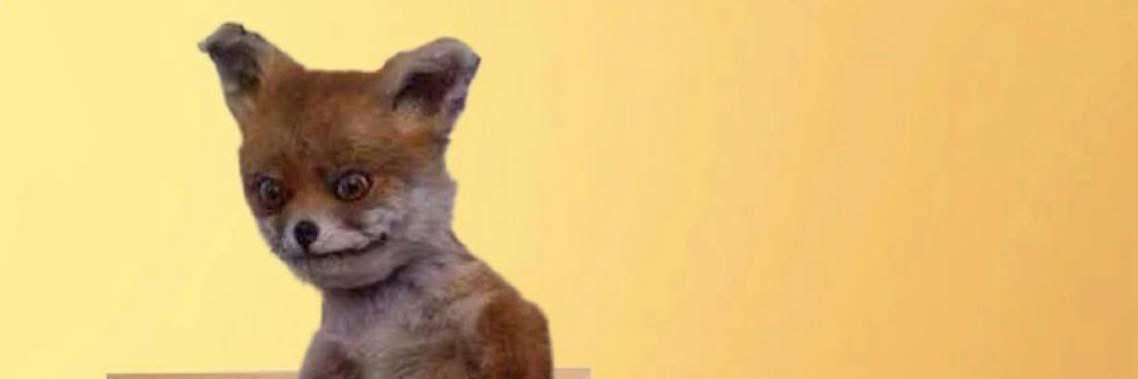 Wilbur Flinstone banner