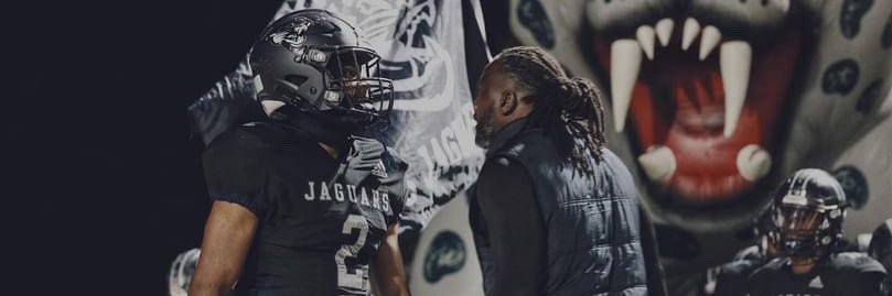 Arkeyveon”chanel 2”hood ATH 25’ banner