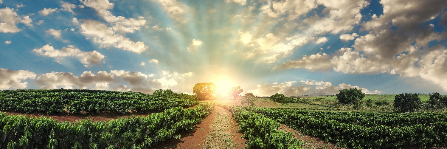 Potlikker Capital banner