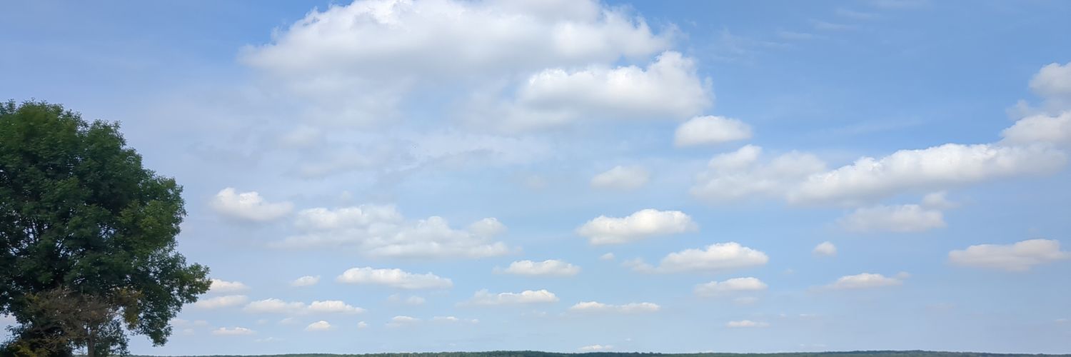 anne petzold's banner