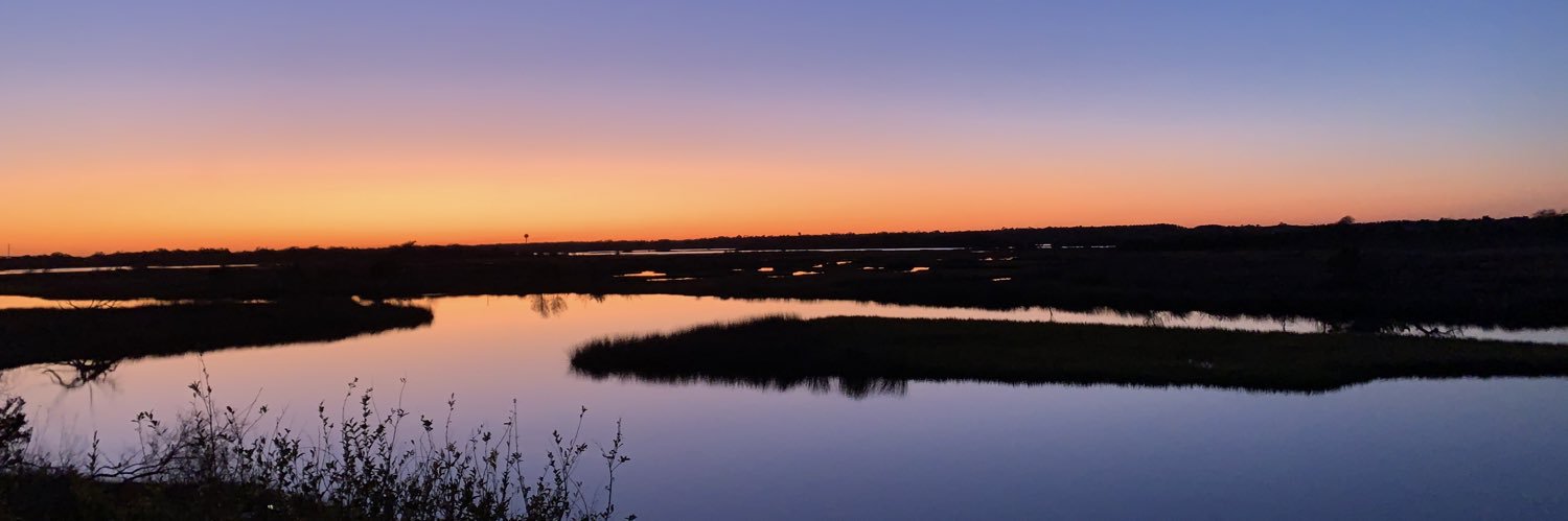 leannebenson_'s profile banner image