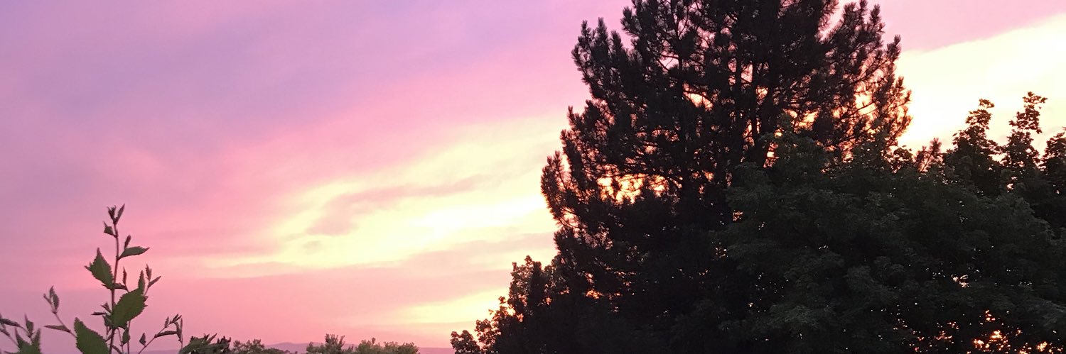 desrayallday's profile banner image