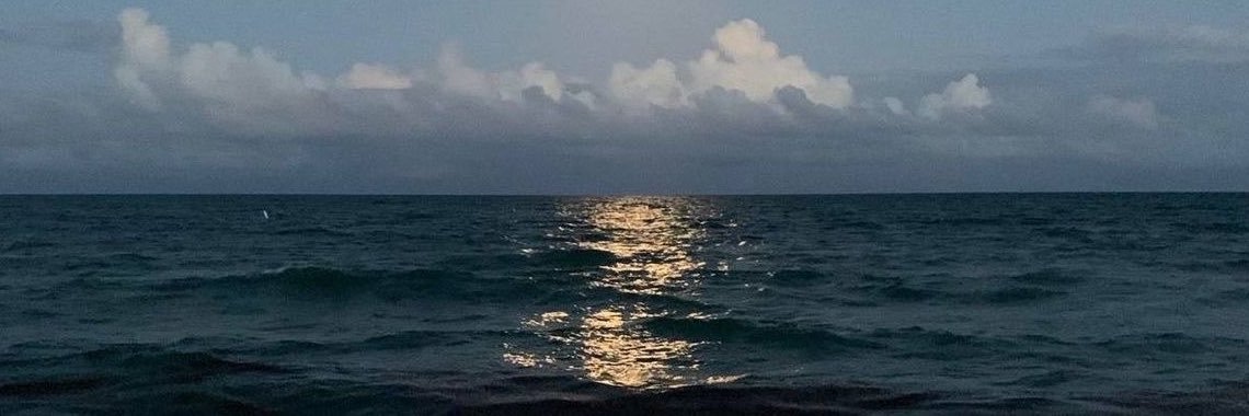 seajoyz's profile banner image