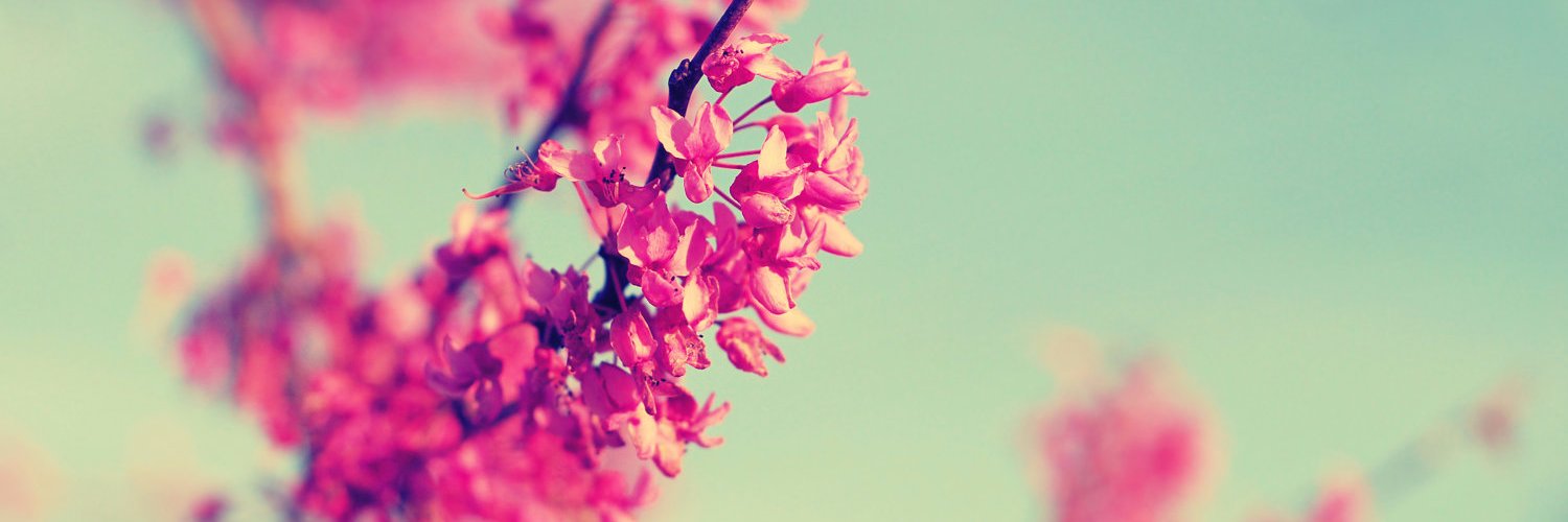 Mar_bel24's profile banner image