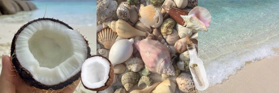 ᙖᥙᥒᥒყ 🐰 banner