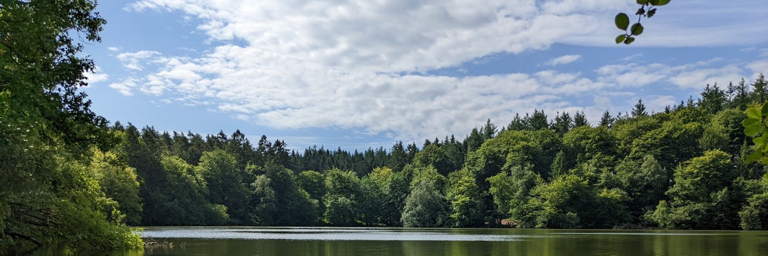 Søren Sprogø banner