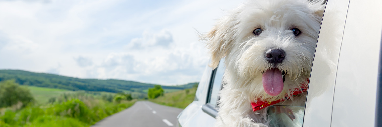 DomainSpot, LLC banner