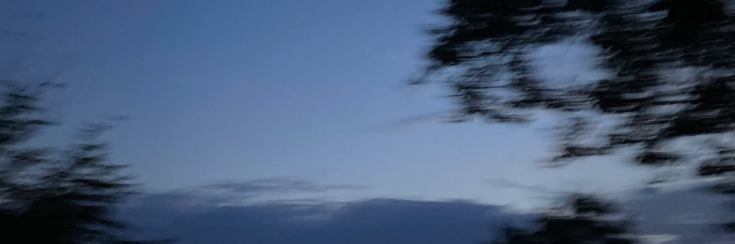 Mari_Zmeitza banner