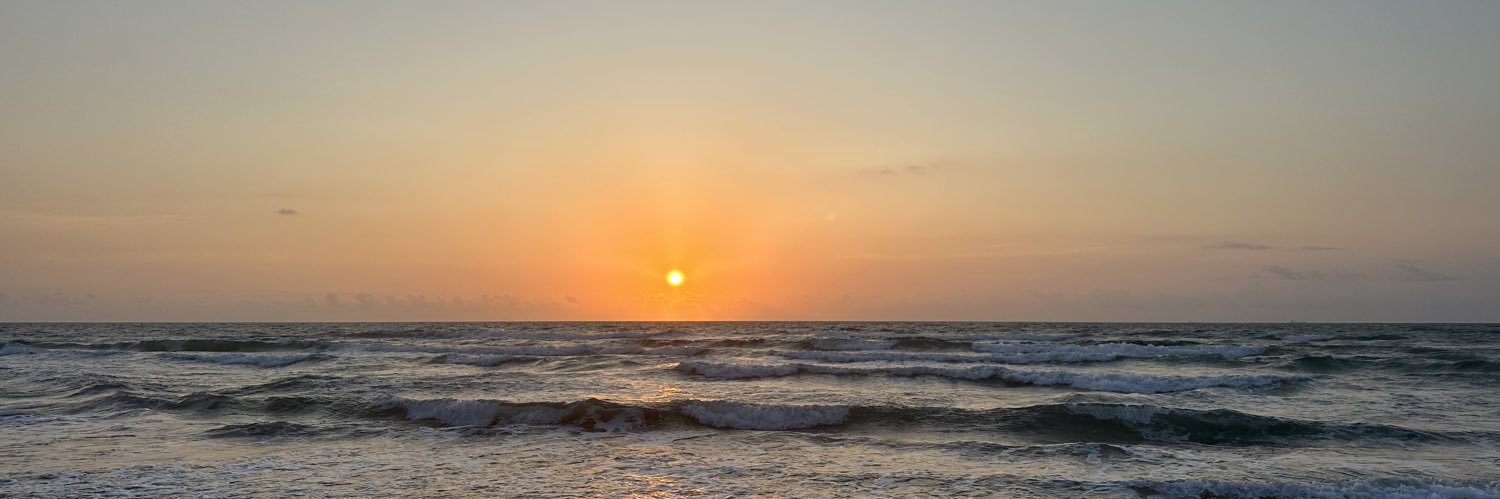 Patrick McDonnell banner