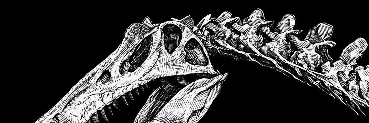 Subnakk's profile banner image
