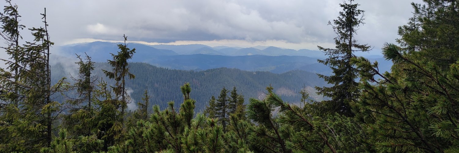 Настя Шанойло banner