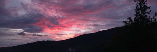 NeviscaQ Profile Banner