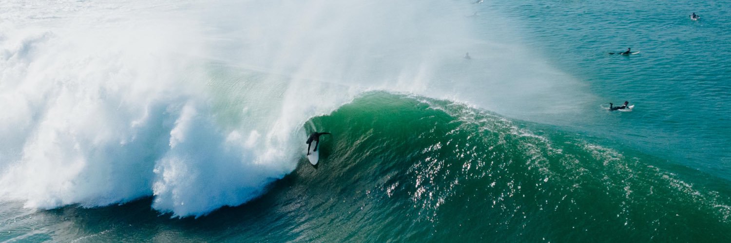 daniel gorostieta banner