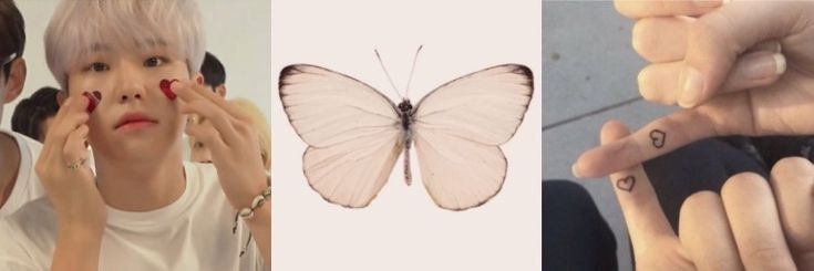 hoshiaddicted's profile banner image