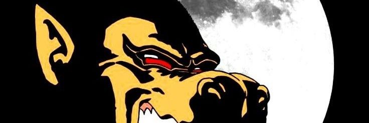 ProjectComplex's profile banner image