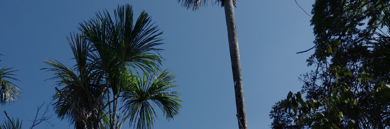 henric marialver 🪇 banner