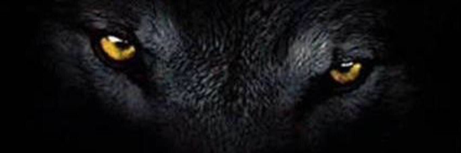 AF1717's profile banner image