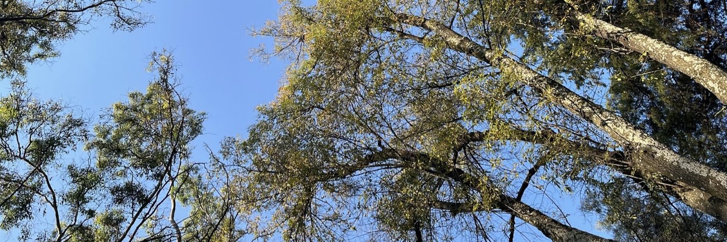 Sergio Elizalde banner