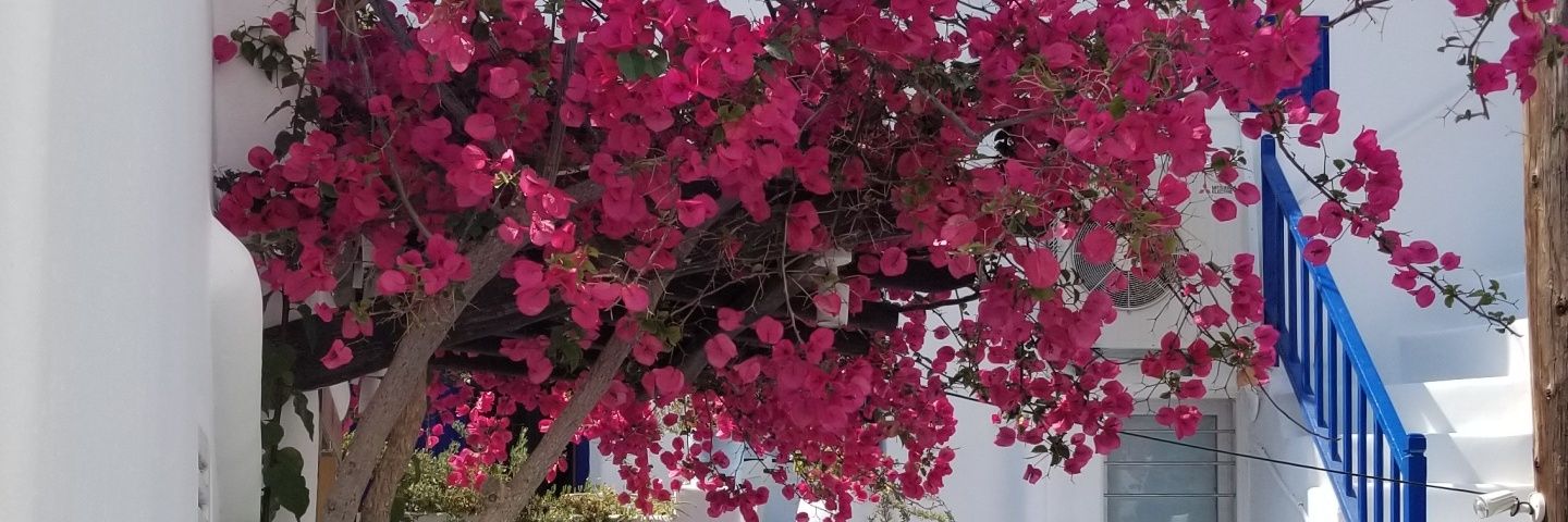 Michelle Lehman banner