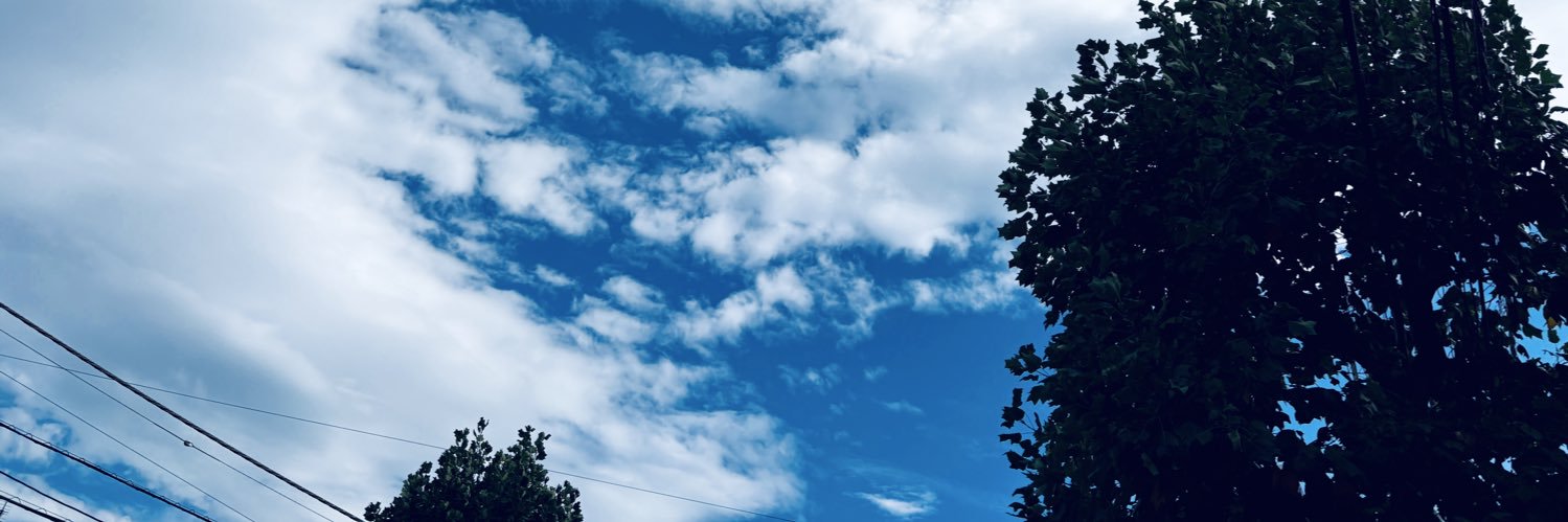 chron_petit's profile banner image
