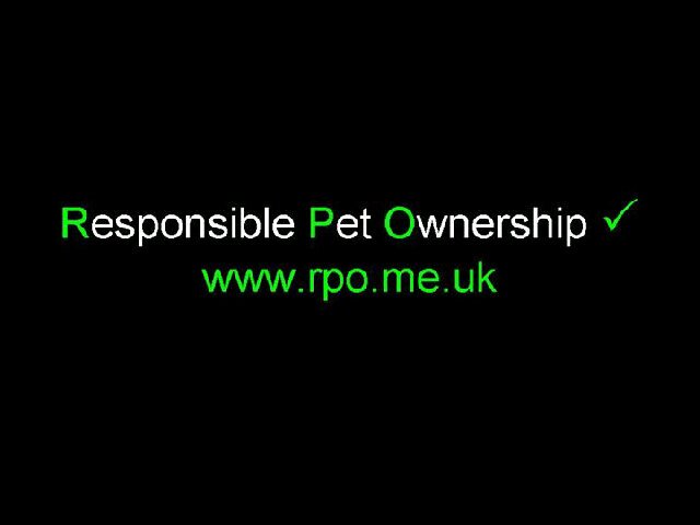 RPOmeuk's profile banner image