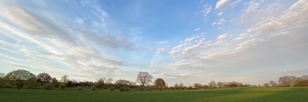 Stecki Profile Banner