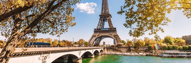 sandra_french's profile banner image