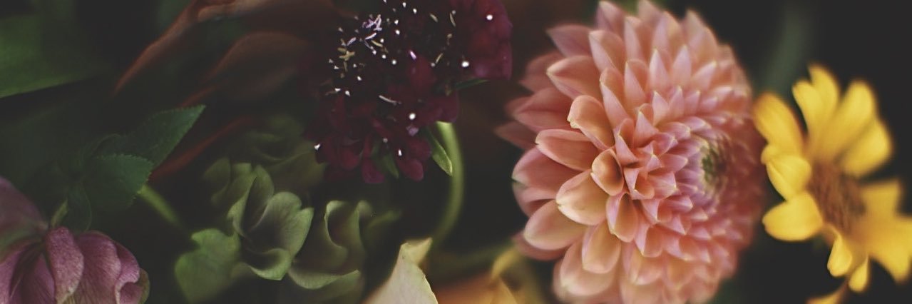 Xaviara's profile banner image