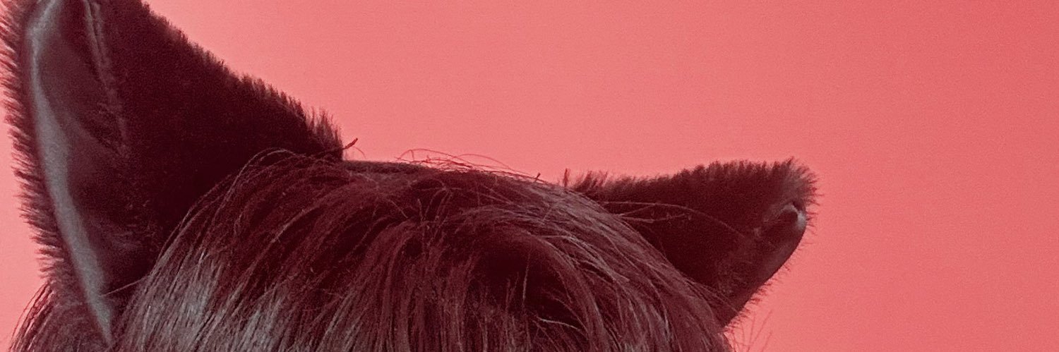 usachonS2y's profile banner image