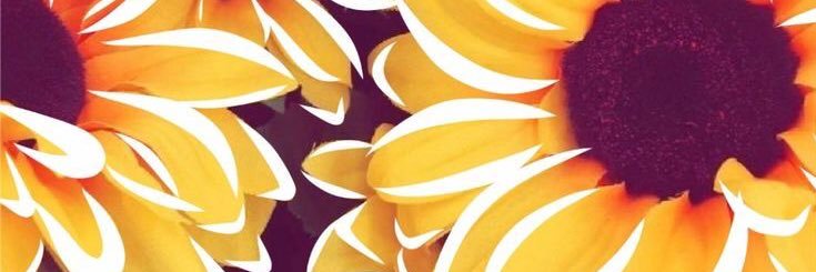 FloorFanego's profile banner image