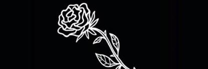 .... banner