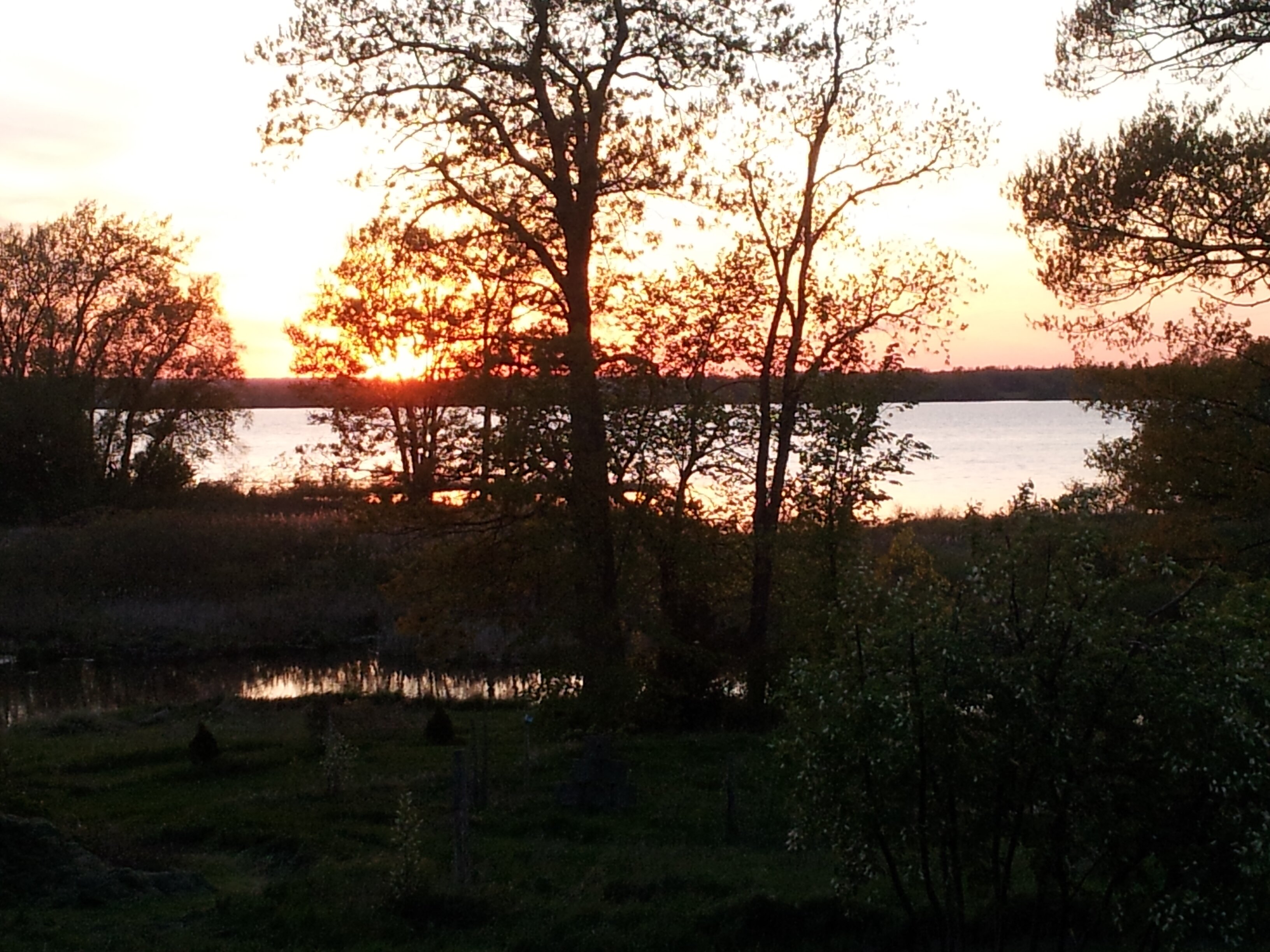 SMDoucet's profile banner image