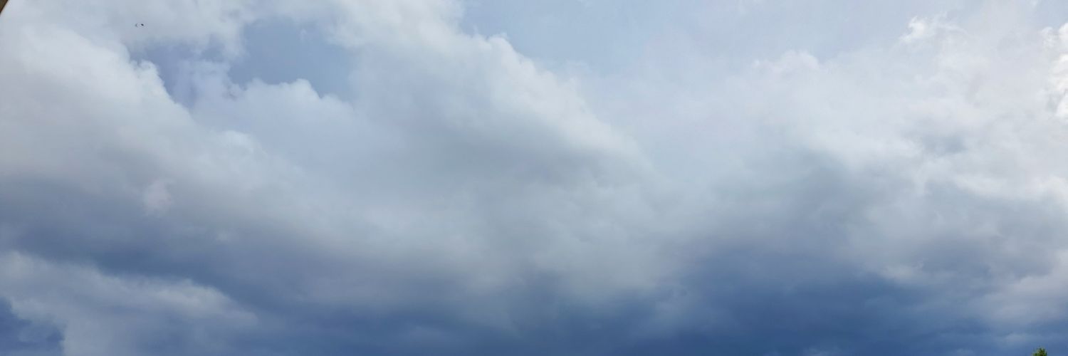 hsebastiani's profile banner image