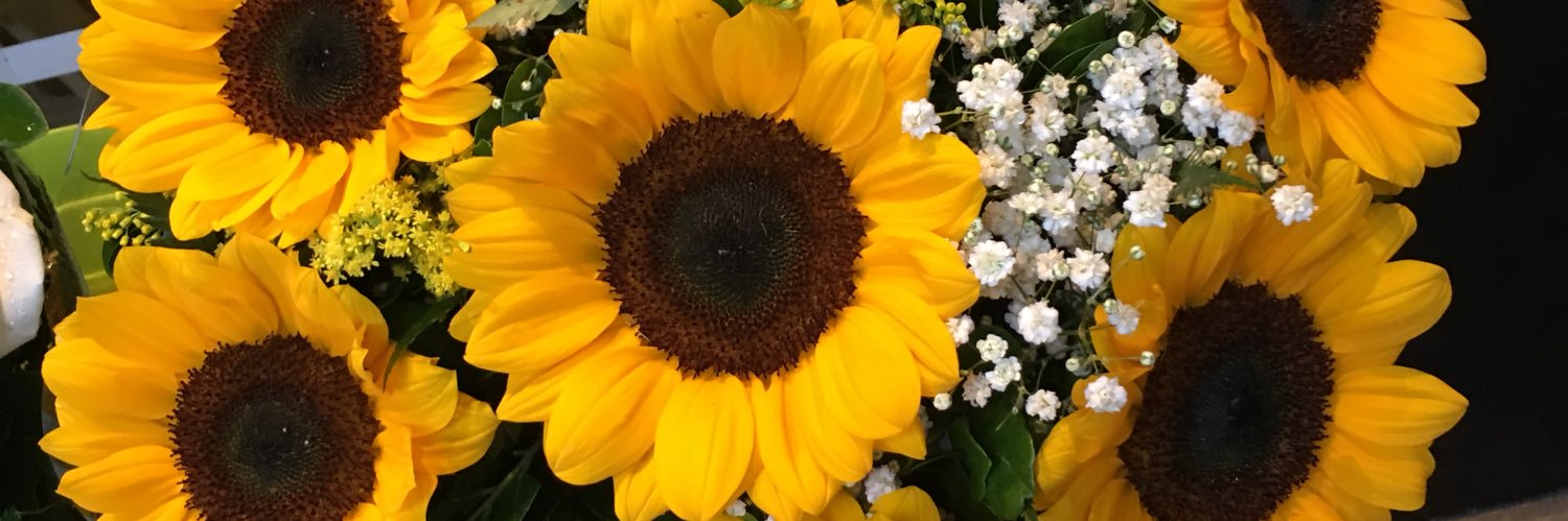 OliveiraPri_'s profile banner image