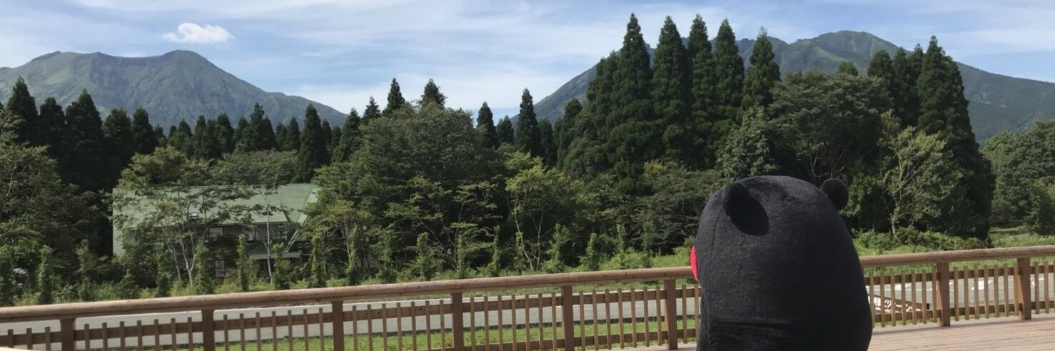 Pete - R* banner