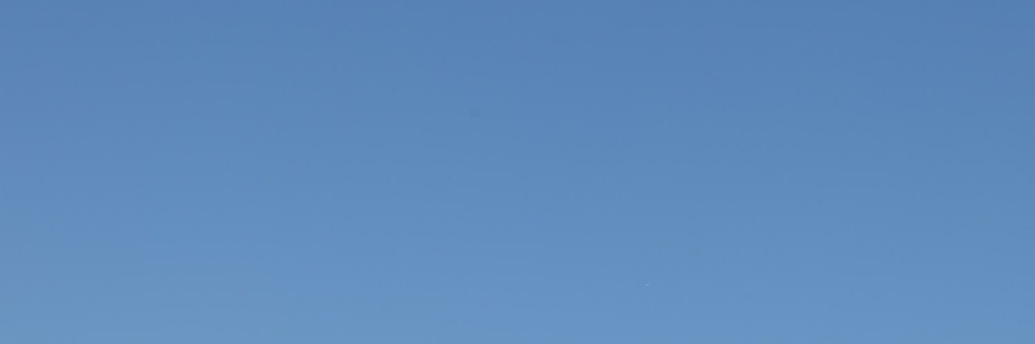 Radical banner