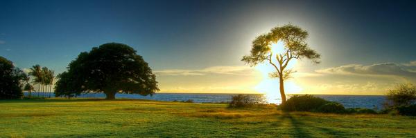 Feysar Profile Banner