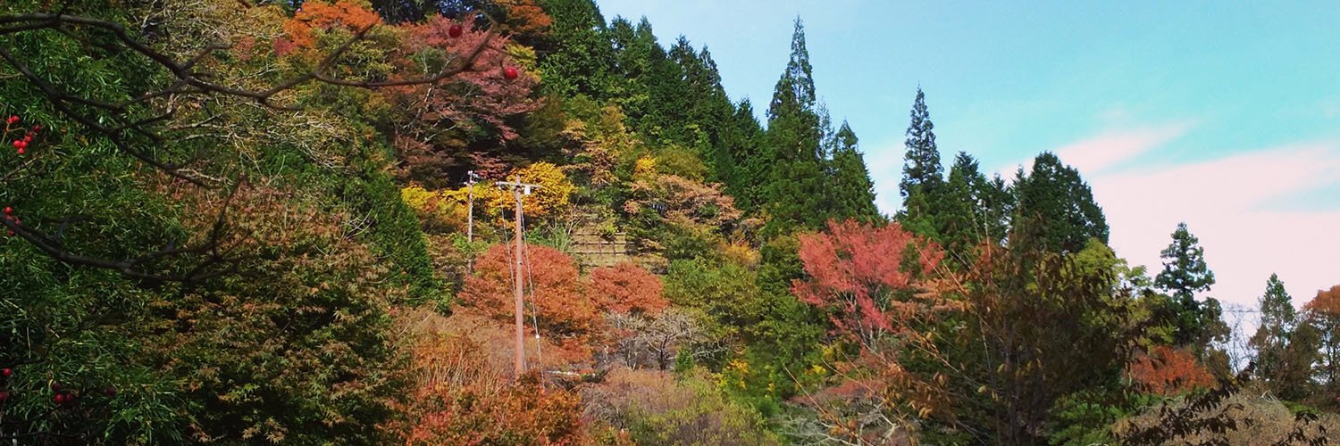 Conley Presler banner