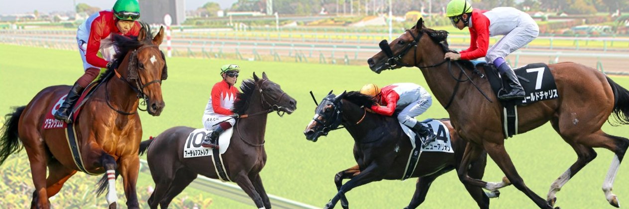 フィールドレーシング banner