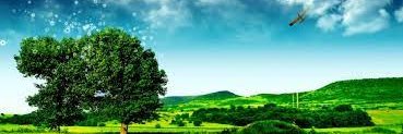 thuha2686's profile banner image