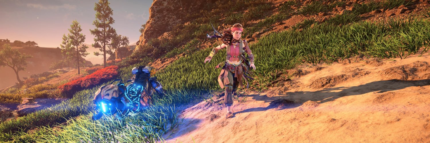 EvvaACNH's profile banner image