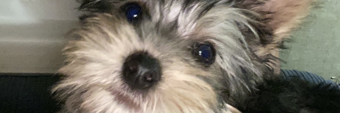 BigEion's profile banner image