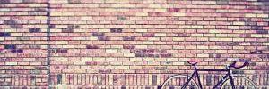 AnnZavalaC's profile banner image